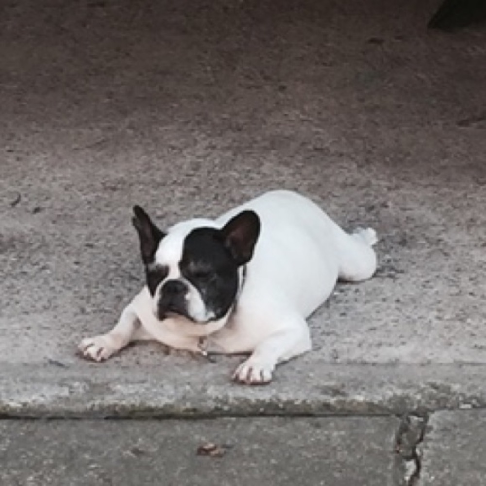 Meet your Posher, Kevin